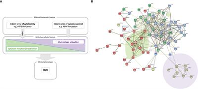 The hyperinflammatory spectrum: from defects in cytotoxicity to cytokine control